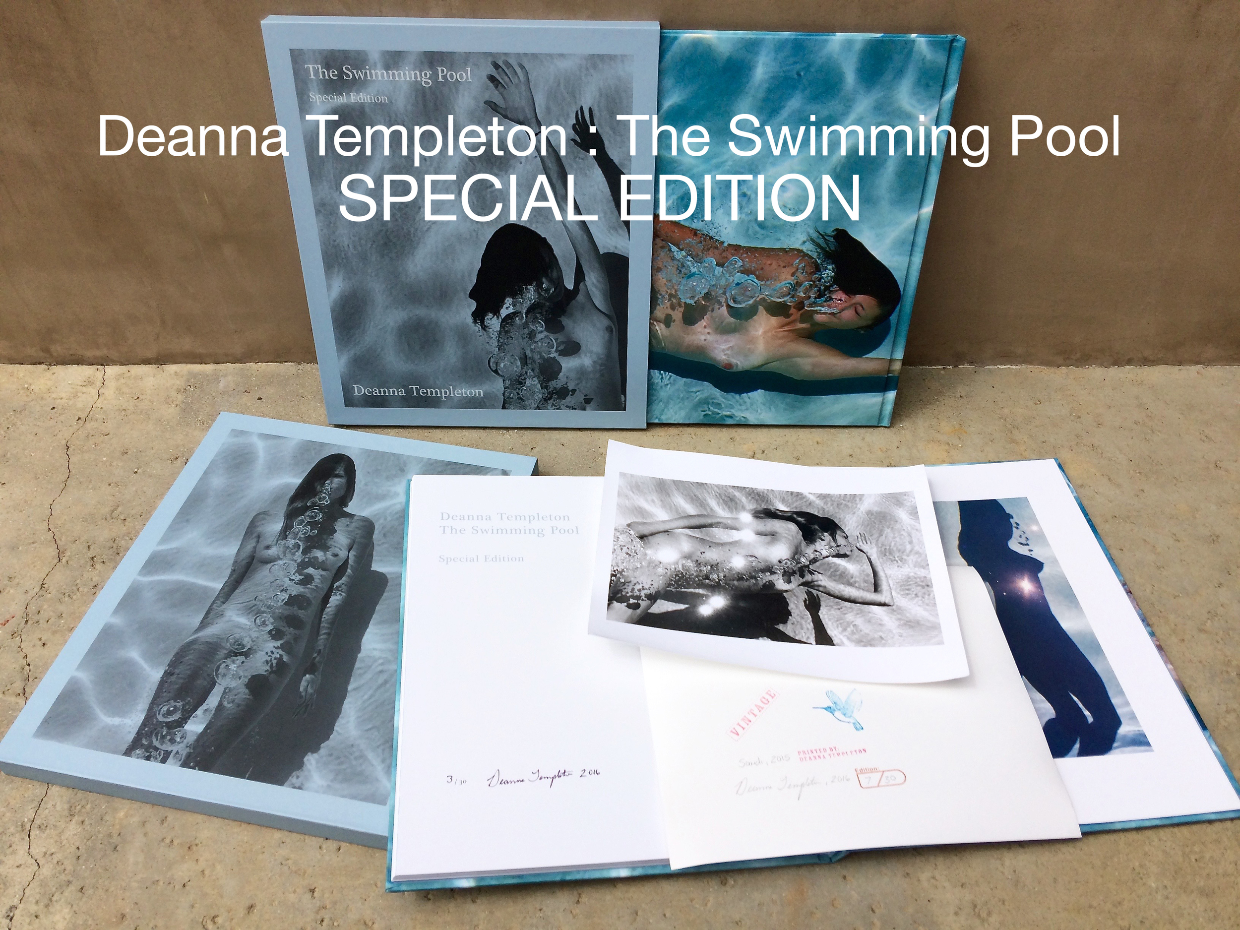 Deanna Templeton: The Swimming Pool Special Edition — Um Yeah Arts